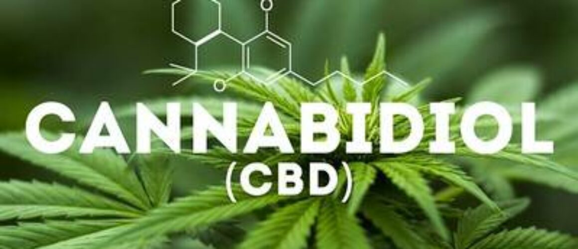 cbd-boca-ratonwhy-us-2