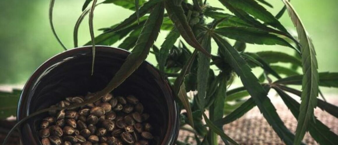 the-science-behind-cbd-and-sleep-how-hemp-can-help-you-rest-better