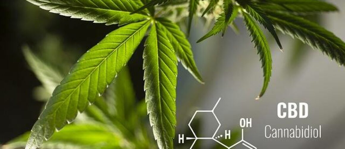 top 10 benefits cbd oil