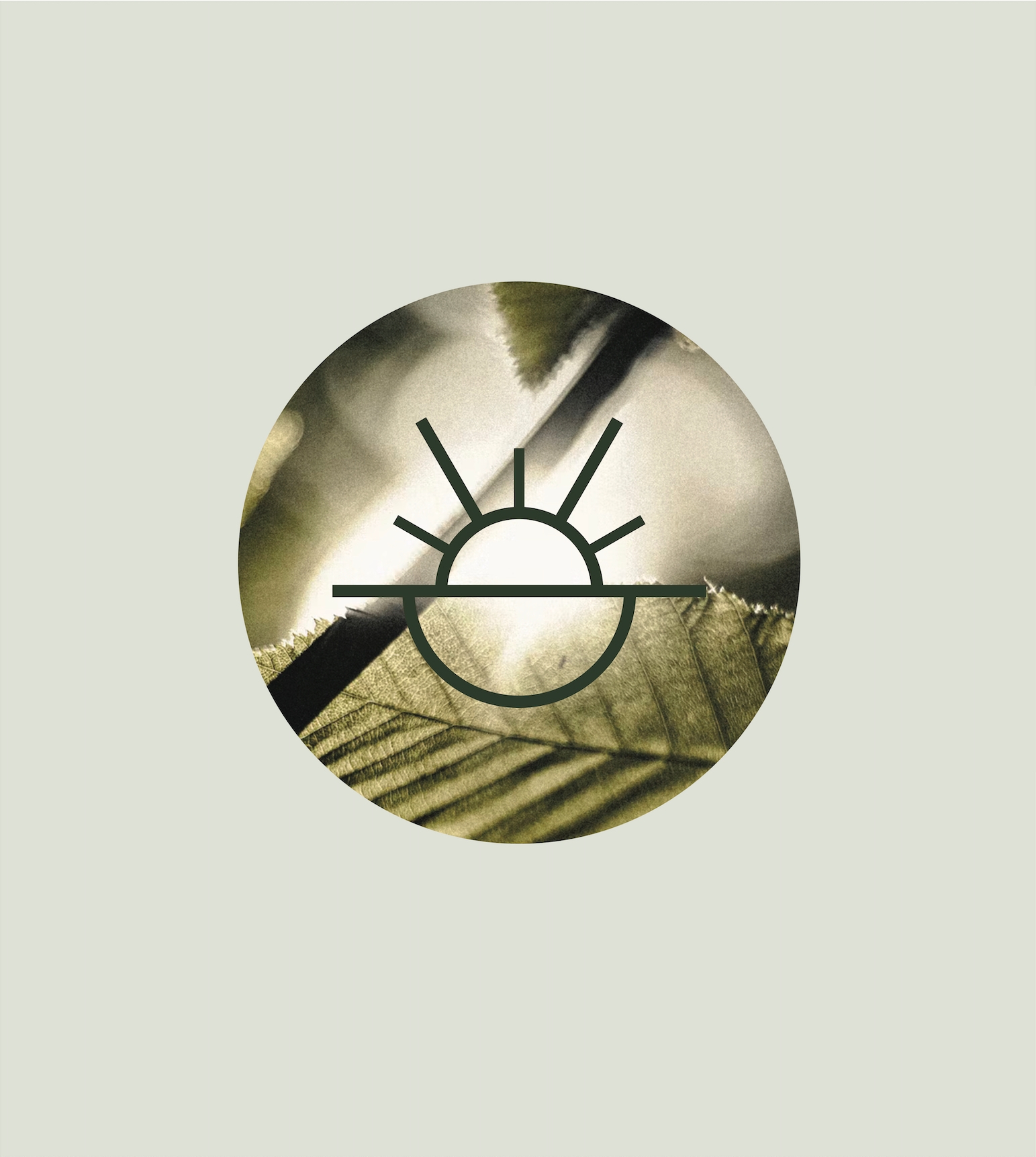 Discover the Finest Alternative Cannabinoids and CBD at Boca Raton’s Best Smoke Shop