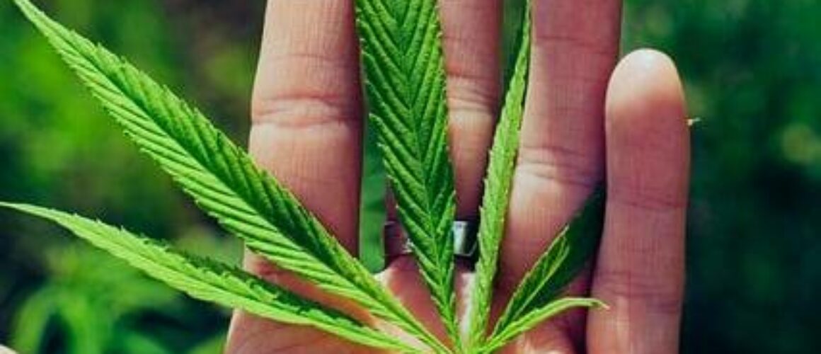 exploring-delta-8-thc-and-alternative-cannabinoids-the-new-frontier-in-hemp-products