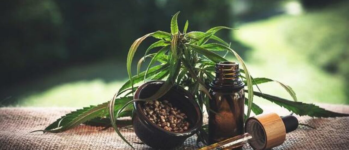 cbd-oil-vs-hemp-seed-oil-understanding-the-differences-and-benefits