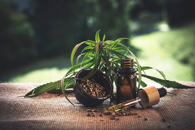 CBD Oil vs. Hemp Seed Oil: Understanding the Differences and Benefits