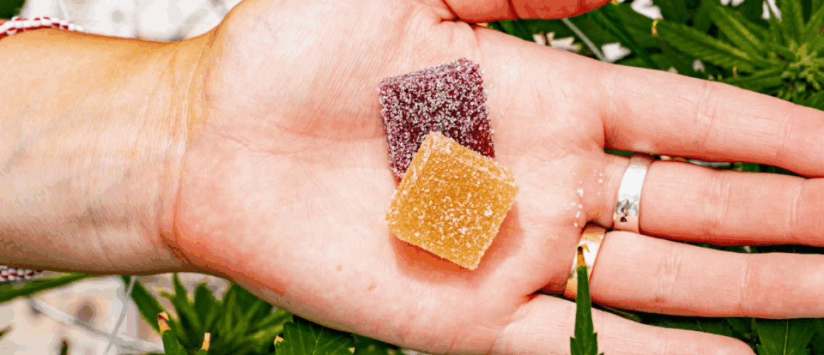 the-buzz-on-jelly-thc-gummies-a-review-you-cant-miss